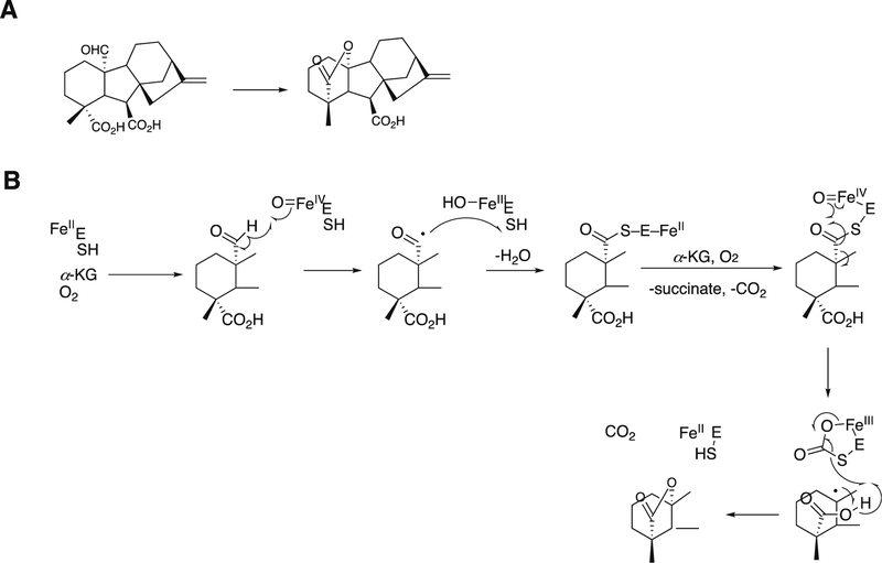 Figure 148.