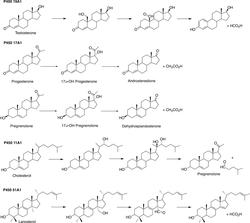 Figure 56.