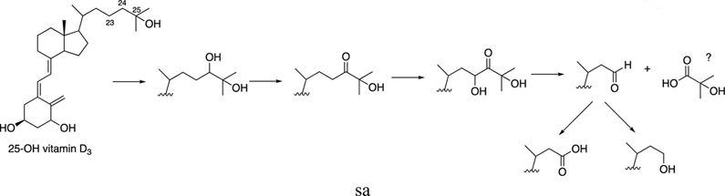 Figure 79.