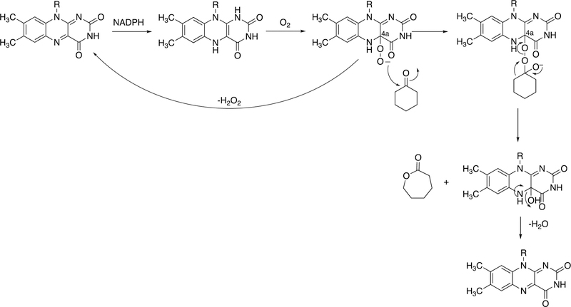 Figure 109.