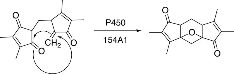 Figure 20.