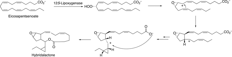 Figure 37.