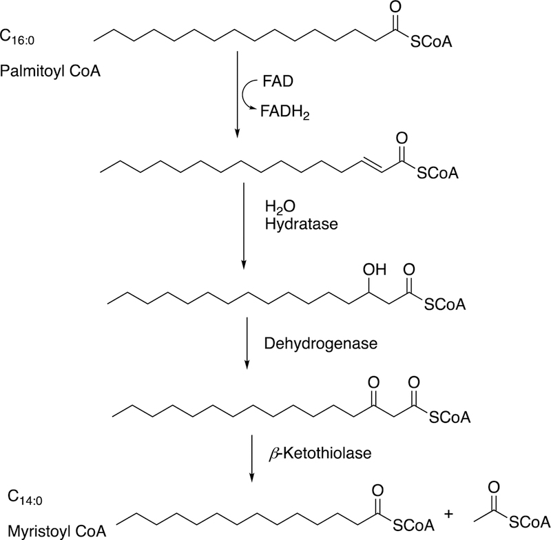 Figure 117.