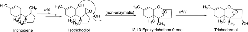 Figure 17.