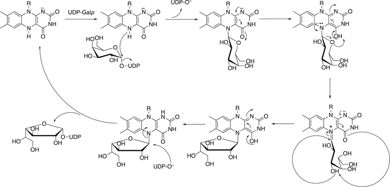 Figure 25.