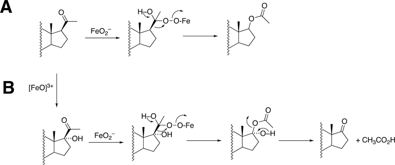 Figure 62.