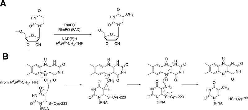 Figure 26.