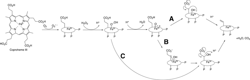 Figure 124.