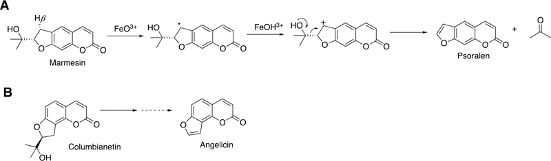 Figure 101.