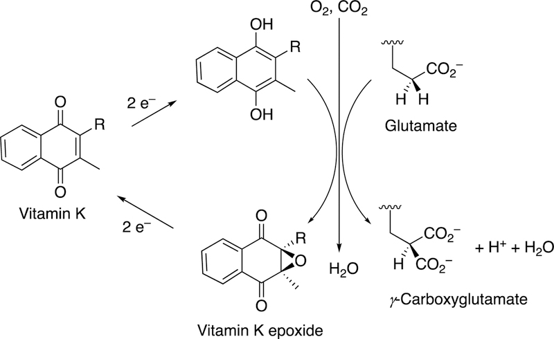 Figure 48.