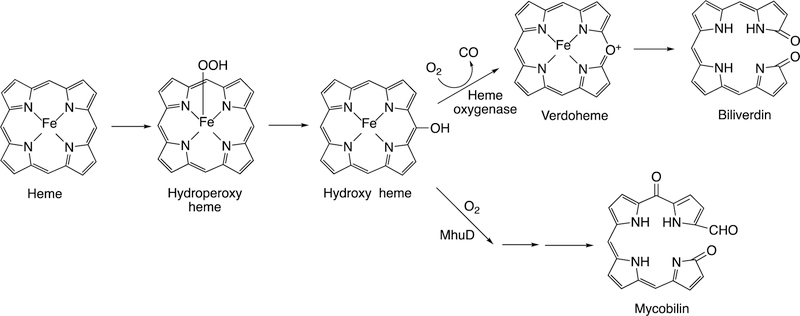 Figure 126.