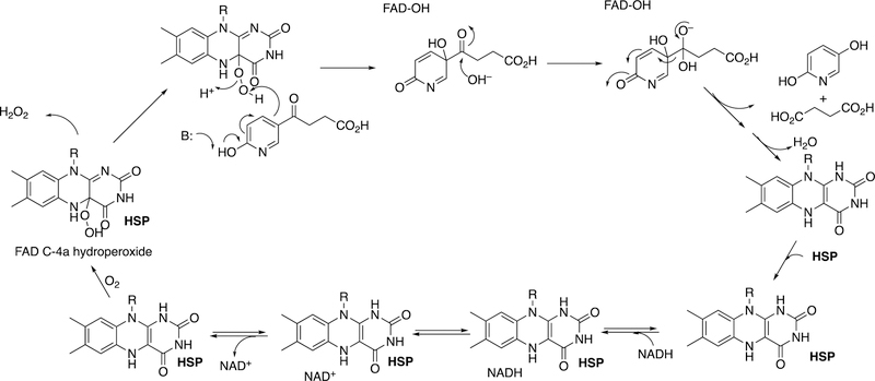 Figure 107.