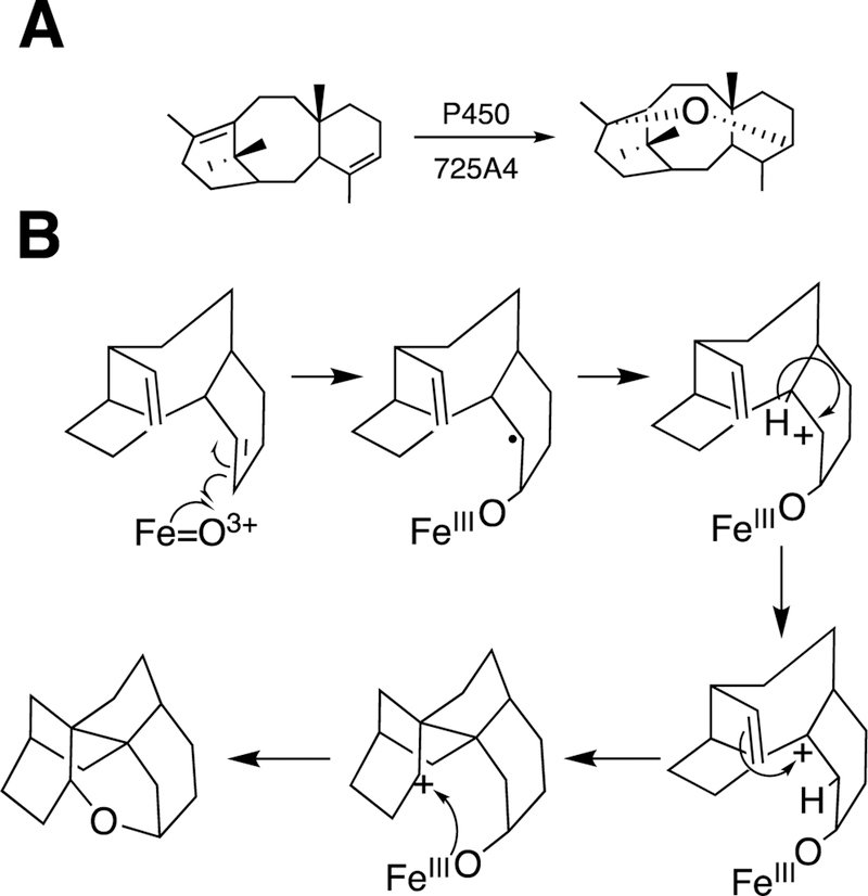 Figure 104.