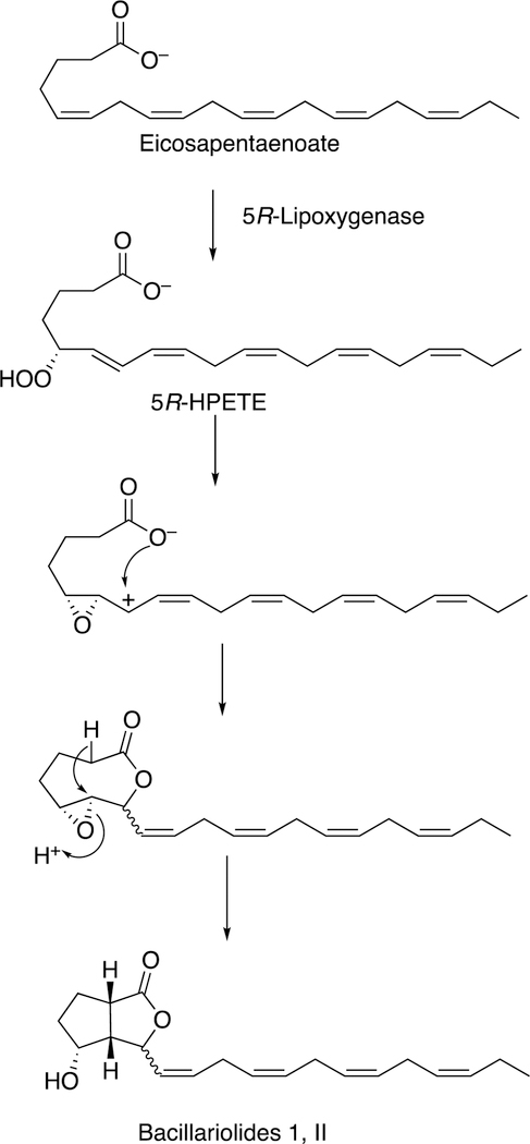 Figure 38.