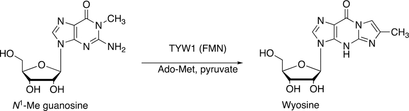 Figure 24.