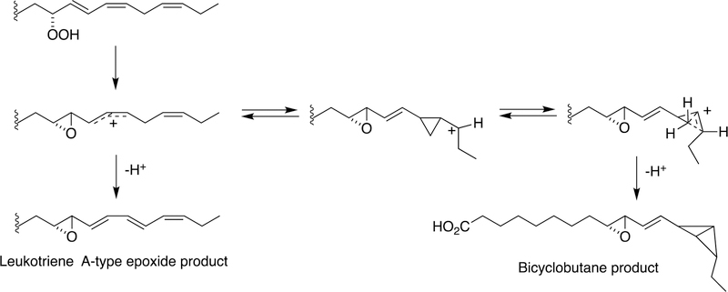 Figure 31.