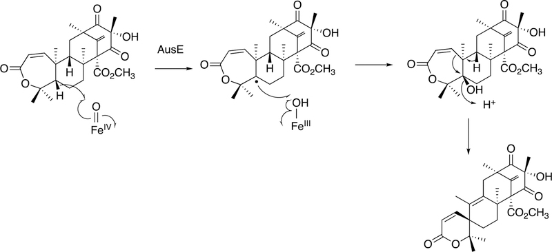 Figure 145.