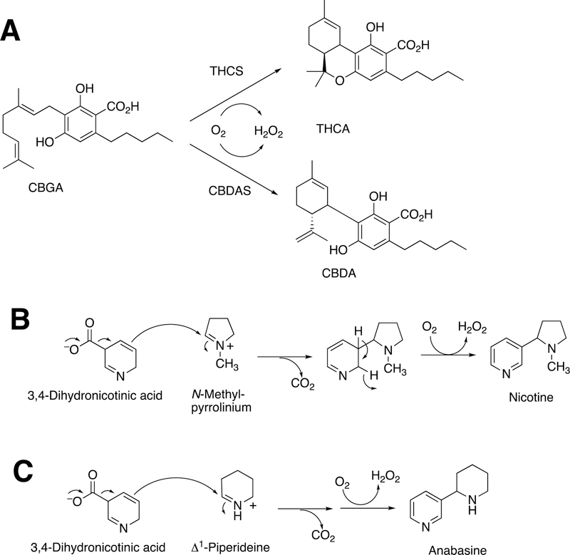 Figure 23.