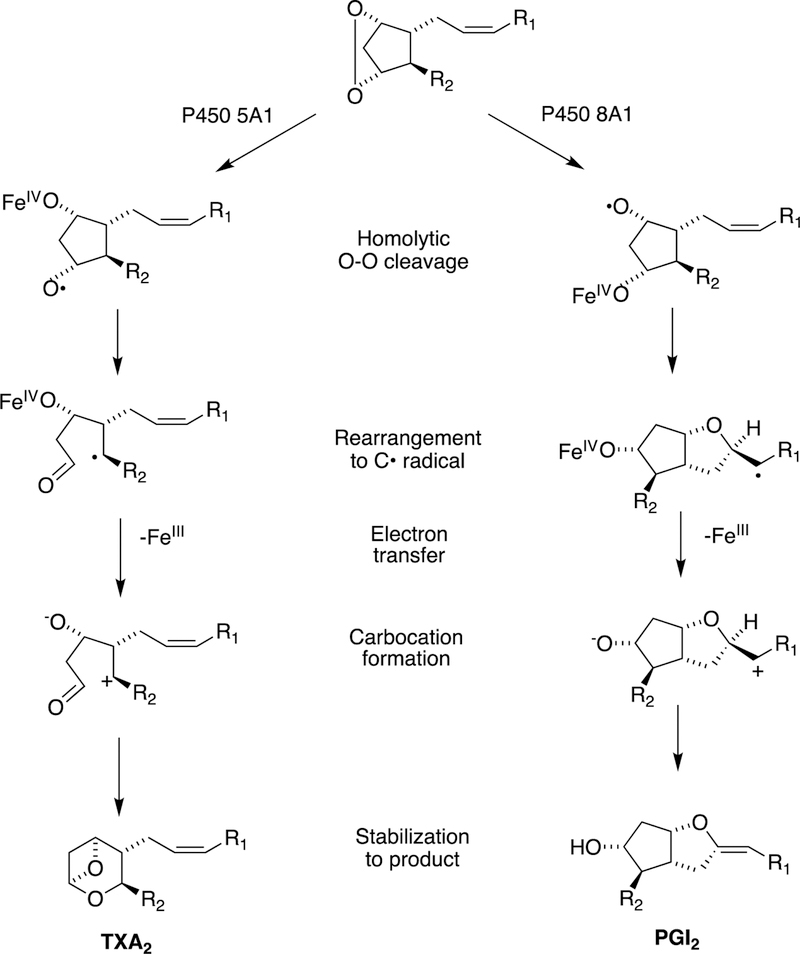 Figure 14.