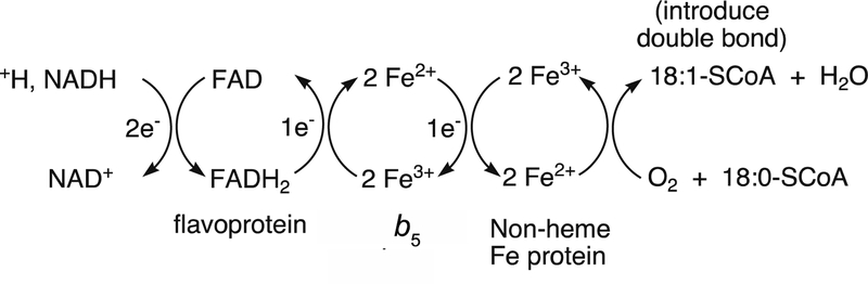 Figure 116.