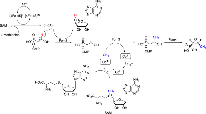 Figure 41.