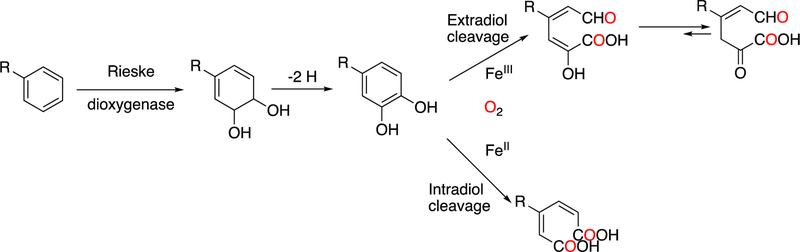 Figure 137.