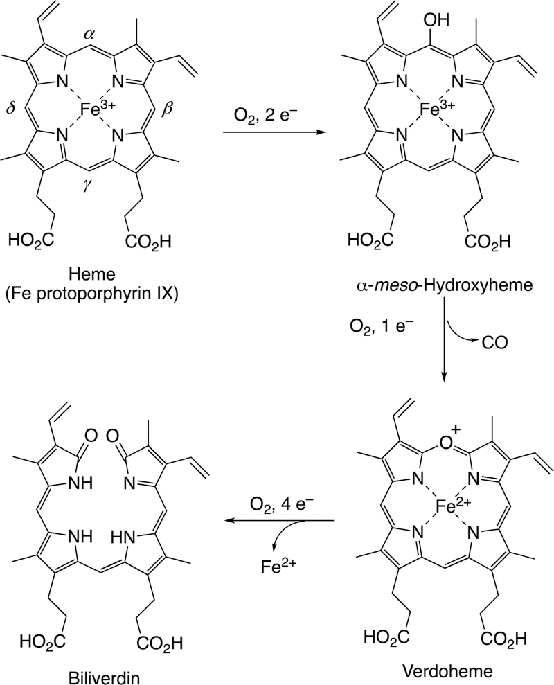 Figure 119.