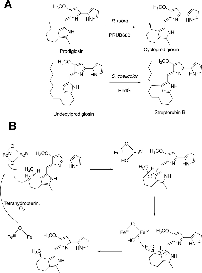 Figure 39.