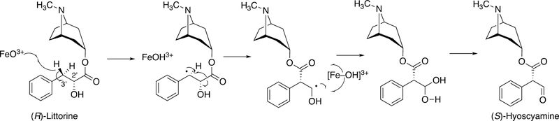 Figure 13.