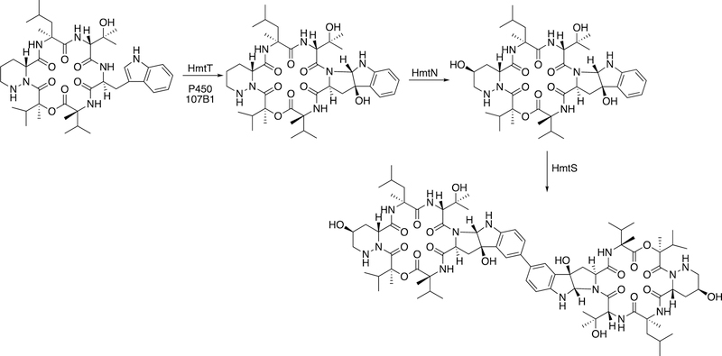 Figure 11.