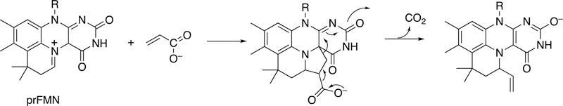 Figure 114.