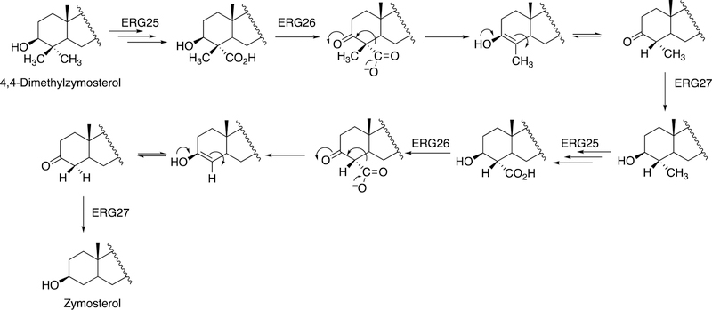 Figure 142.