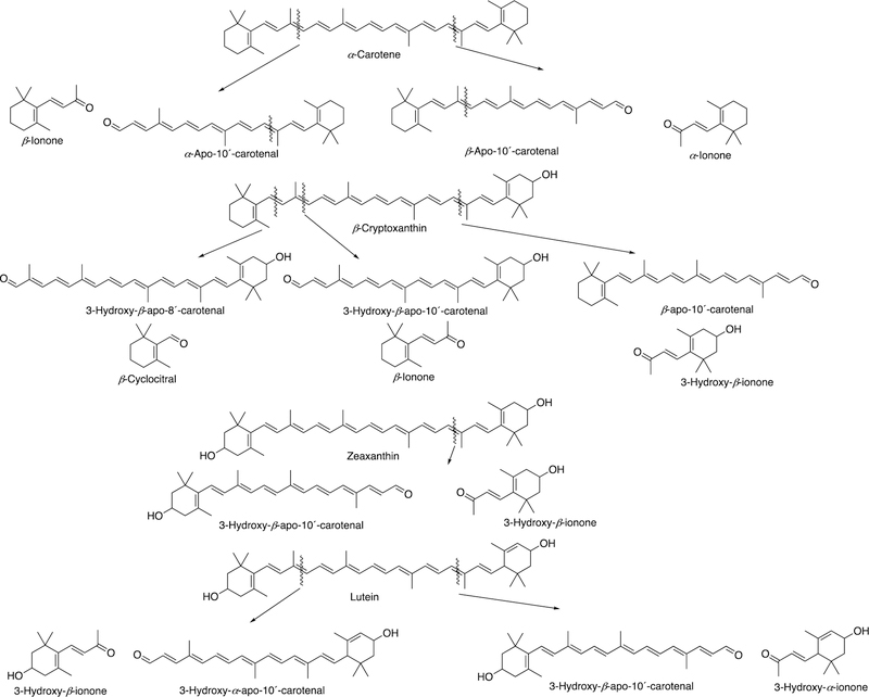 Figure 135.