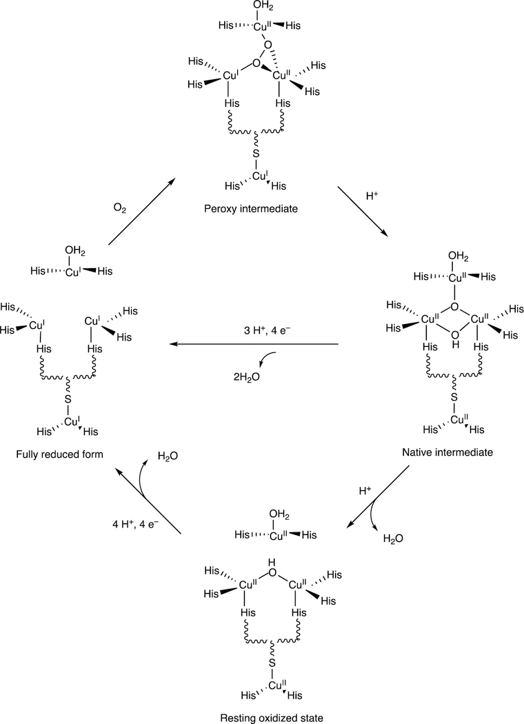 Figure 158.