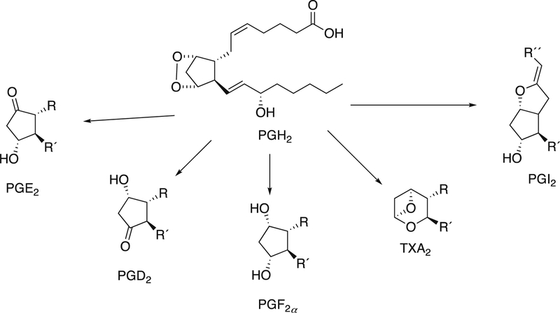 Figure 28.