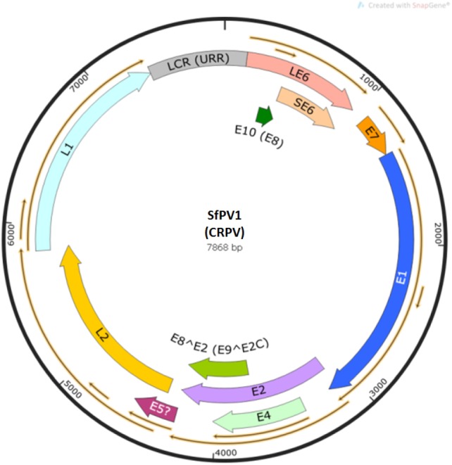 Figure 2.