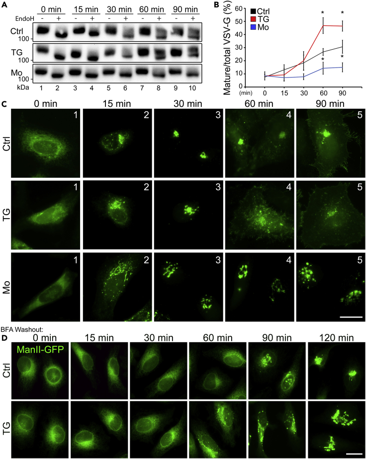 Figure 3