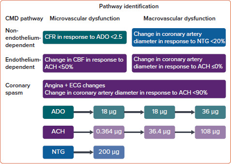 Figure 2: