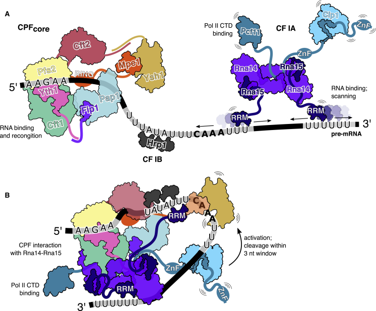 Figure 6