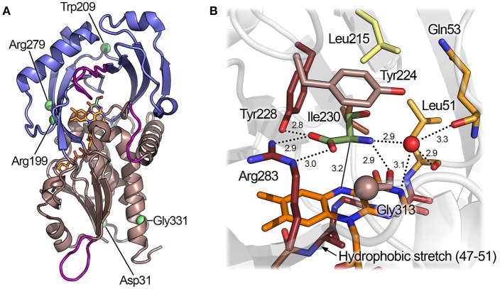 Figure 5