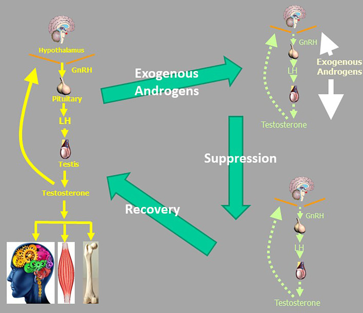 Figure 4