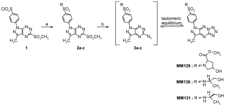 Scheme 2