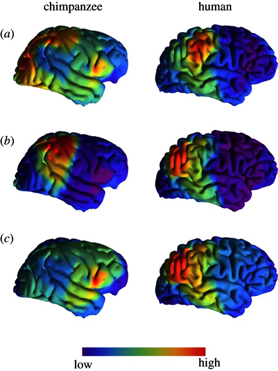 Figure 3.