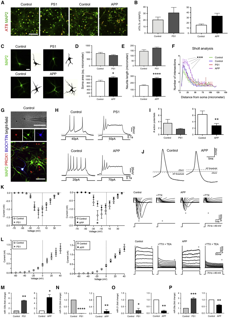 Figure 3