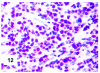 Figure 12.