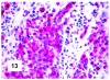 Figure 13.