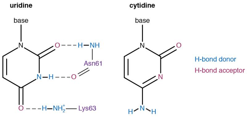 Extended Data Figure 6.