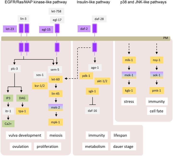 Figure 10.