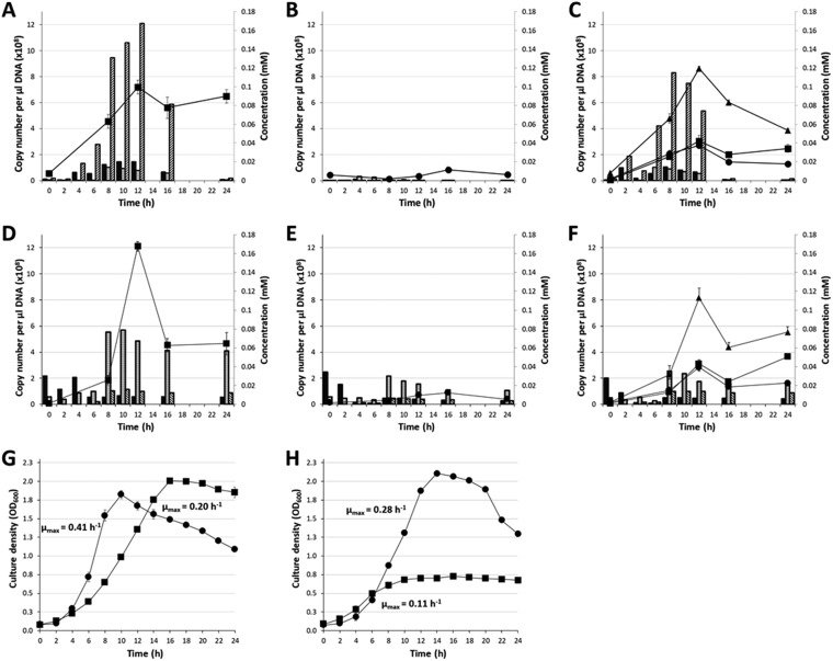 FIG 1