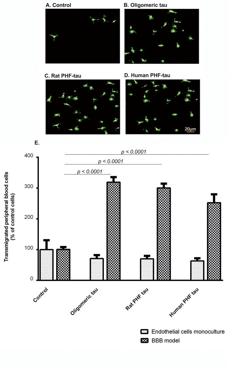 Fig 9